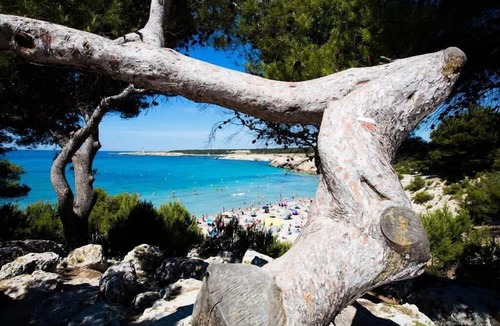 Martigues House | Camping Pascalounet ** - Mobile home Comfort Plus 4 rooms 6 persons