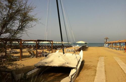 Calambrone Other | Camping Pineta