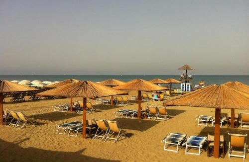 Calambrone Other | Camping Pineta