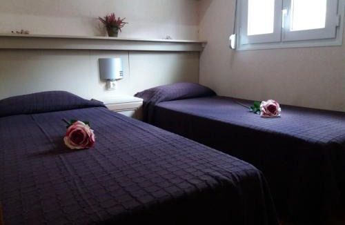 Vall de Cardos Other | Camping Serra