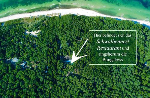 Bakenberg Resort | Camping Standard Bungalow Ferienwohnung auf Rügen - bis 5 Personen - nur 100m zum Naturstrand - mitten im Wald - Familien und Hunde herzlich willkommen - Feriensiedlung Schwalbennest