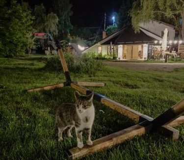 Durau Other | Camping Ursulet Durau
