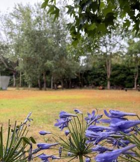 Abasto Villa | Campo Los Teritos