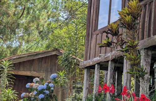 Sierra Cabin | Campos de Oro Wilderness Lodge