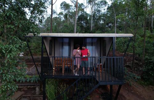 Suryanelli Other | Campper Glamping Munnar