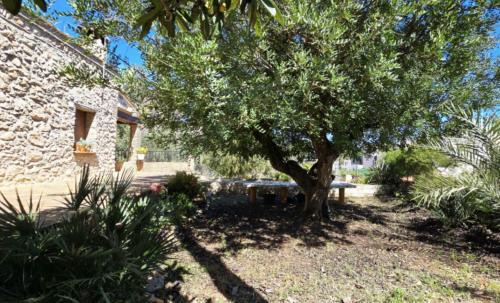 Denia House | Campus el abuelo