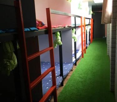 Binh Thuy Hostel | Can Tho Riverside Hostel