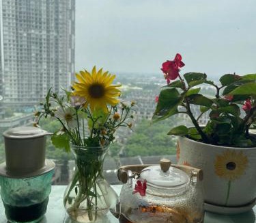 Van Giang Apartment | Canary Nest Solforest Ecopark Homestay