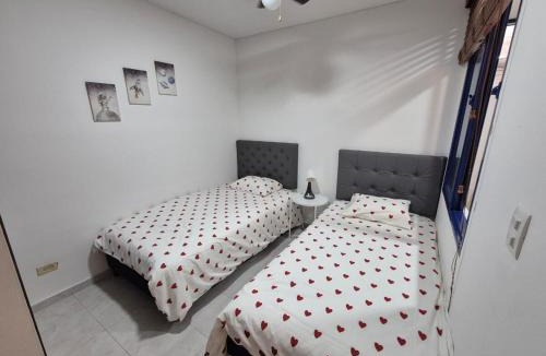 Cali Apartment | CANEY traveller house 302