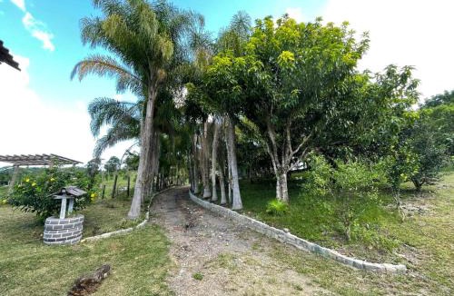 Paulo Lopes House | Canto d'água