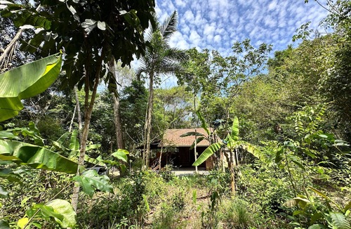 Alter do Chao House | Canto do Bugio Refuge - Experience the vastness of the Amazon without sacrificing comfort.