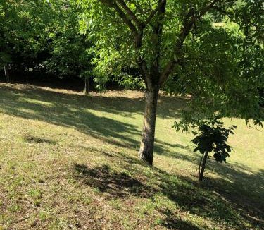 Casine House | Capannina Vesale