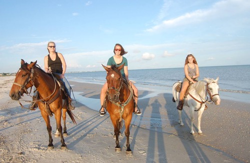 Cape San Blas Cottage | Cape San Blas Cottage - steps to the beach - beach side of Cape