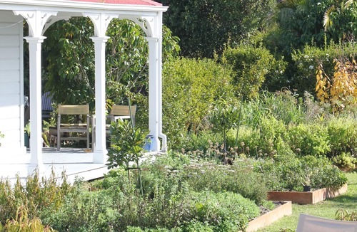 Waimarama Cottage | Cape South Cottage - delightful country cottage with Pacific ocean views