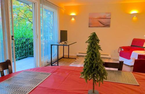 Capitol Hill House | Capital Hill Oasis