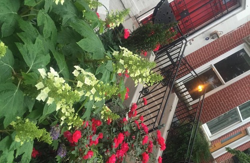 Capitol Hill House | Capitol Hill Eastern Market
