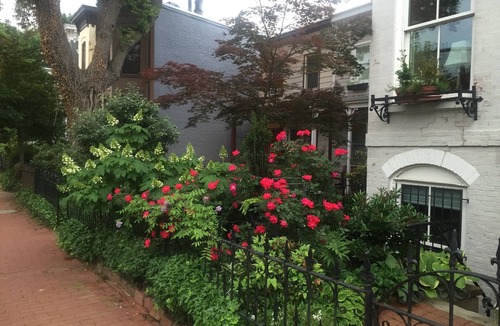 Capitol Hill House | Capitol Hill Eastern Market