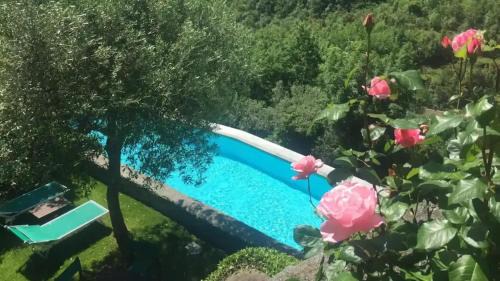 Colletta Apartment | Caprice Flat Sleeps 4 with Garden