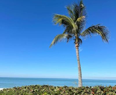 Captiva Apartment | Captiva Bayside Villas 1 Bedroom 2 Bath - sleep 4