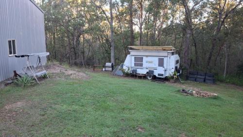 Mount Crosby Other | Caravan Rustic Sunflower
