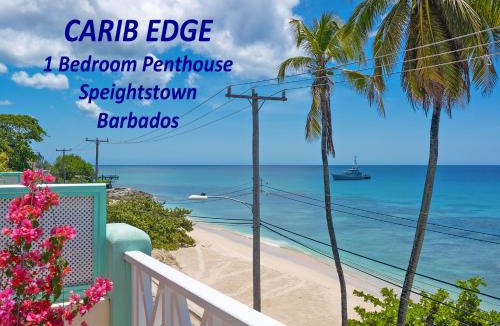 Douglas Apartment | Carib Edge AC beach penthouse, near amenities