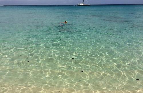 Douglas Apartment | Carib Edge AC beach penthouse, near amenities