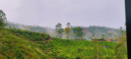 Munnar House | CARMEL HOME STAY