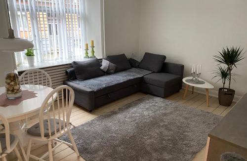 Aalborg Midtby Apartment | Carolina