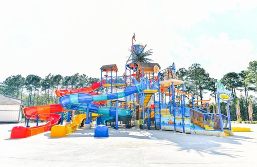 Myrtle Beach Other | Carolina Pines