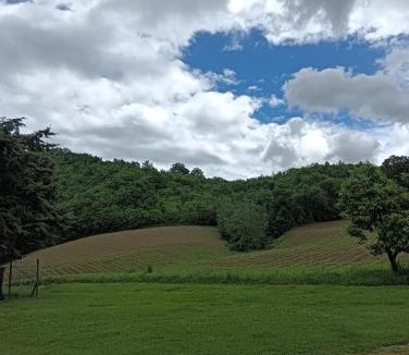 Sestino Apartment | Carpineti Republic