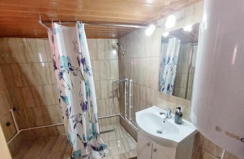 Coronini Apartment | Casă de vacanță Danube