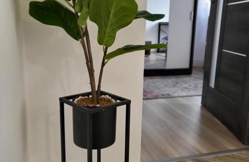 Toplita House | Casa 115 Toplița