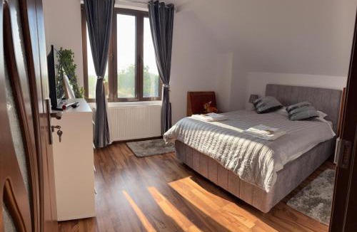 Urechesti House | Casa Alecu