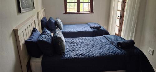 Ramsgate South Bed & Breakfast | Casa Alexandra