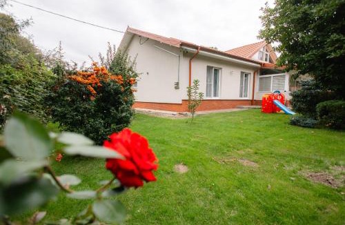Recea House | Casa Alexandru