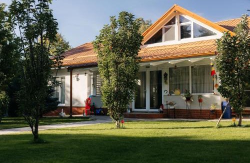 Recea House | Casa Alexandru