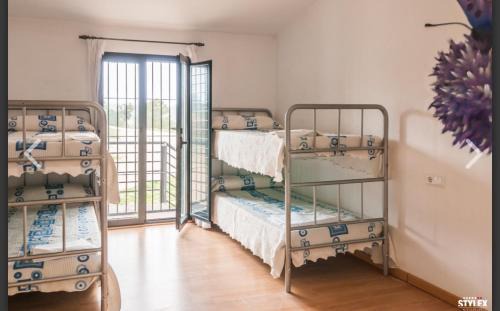 Almansa House | Casa Alfonso