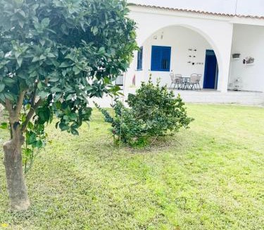 Gallina House | Casa alma