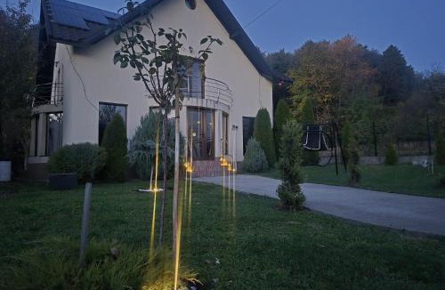 Horezu Villa | Casa ANDRADA
