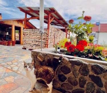 Zarnesti House | Casa Andreas