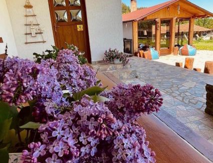 Zarnesti House | Casa Andreas