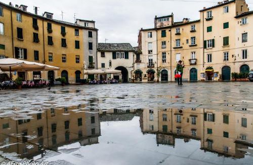 Lucca Historical Center Apartment | Casa Anfiteatro