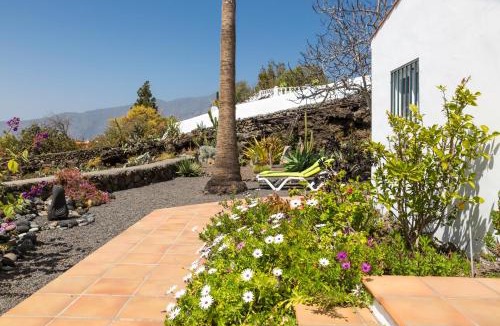 Tajuya House | Casa Arándano