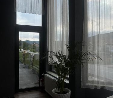 Vadurele House | Casa Ardeleanului 2