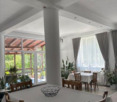 Baile Herculane House | Casa Astoria