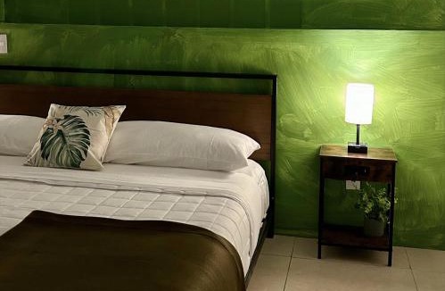 Narvarte Poniente Hotel | Casa Bamboo
