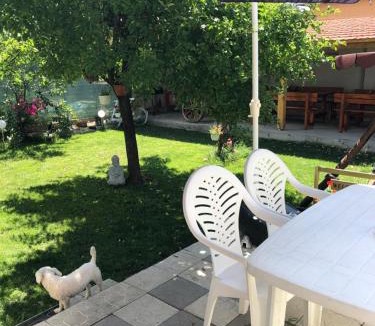 Orastie House | CASA BARZA