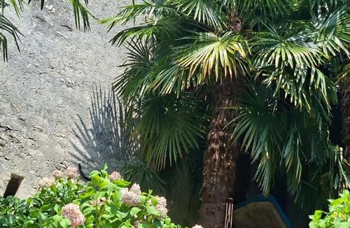 Dongio Bed & Breakfast | Casa Belgeri