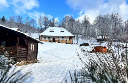 Viseu de Sus House | Casa Berg