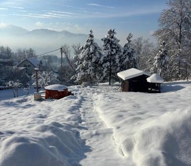 Viseu de Sus House | Casa Berg